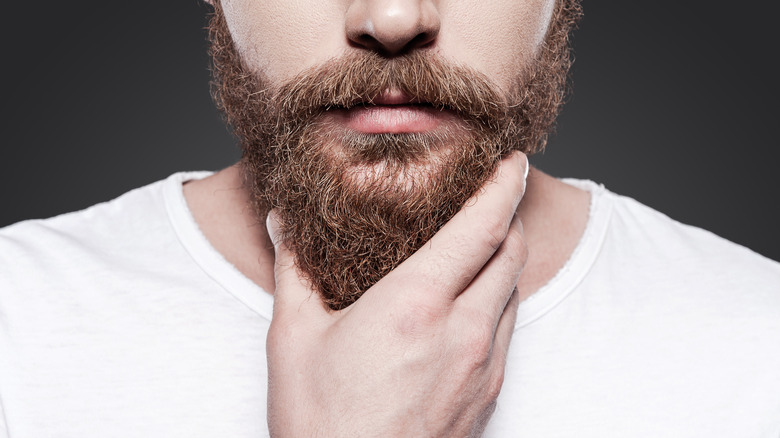 Man holding his beard