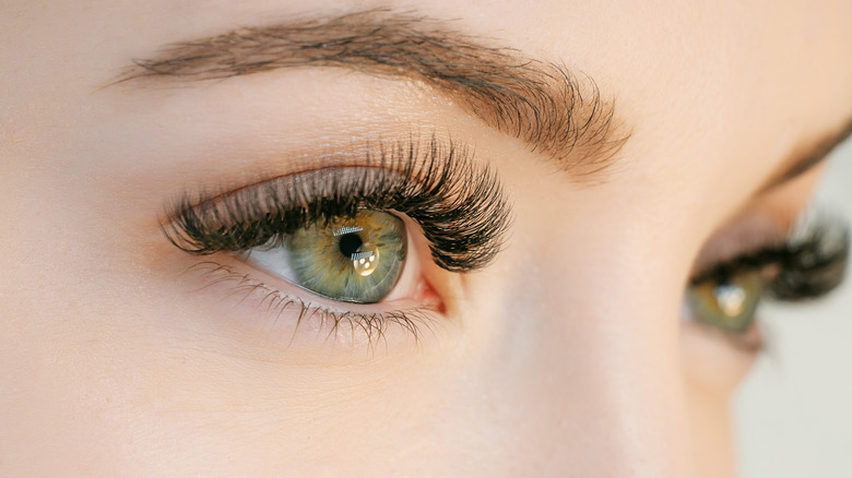 close-up of green eyes