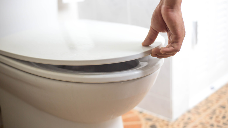 Toilet with paper rolls on it