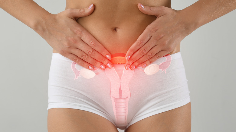 Woman with visual of reproductive system