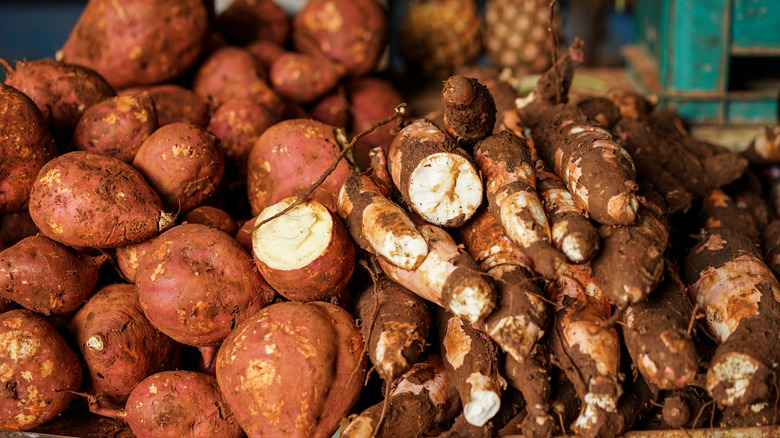 yams and sweet potatoes on display