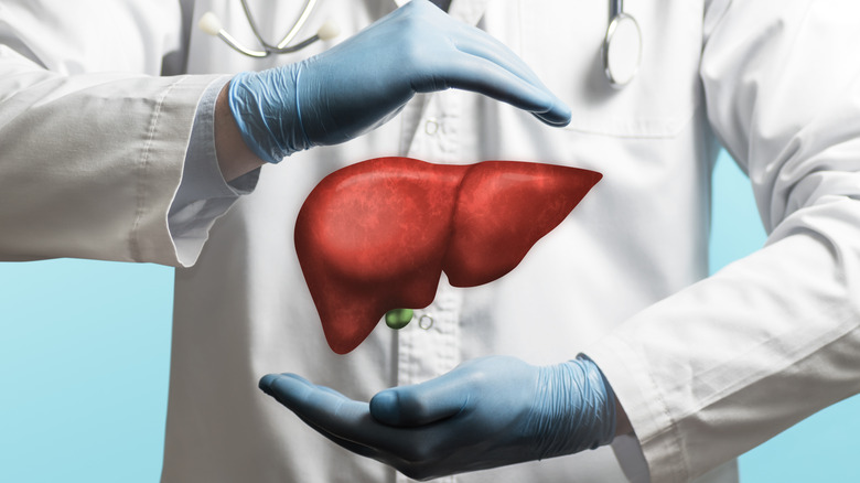 doctor wearing gloves and "holding" liver