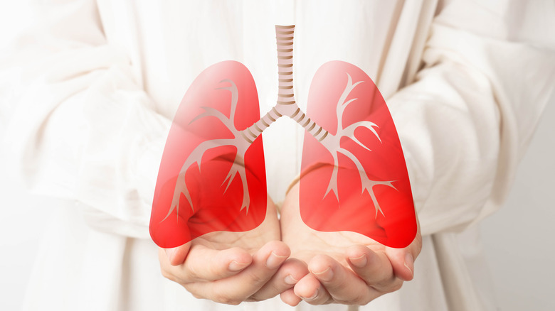 Person in a white coat "holding" an image of human lungs