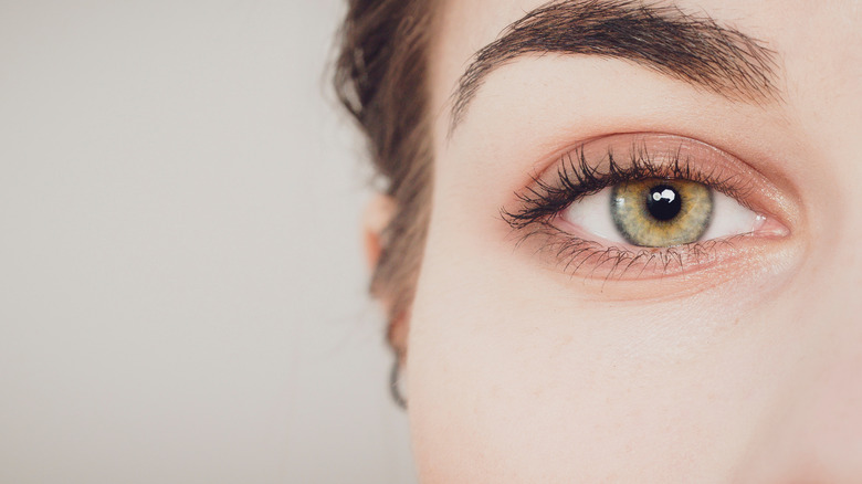 close up of womans eye and eye brow