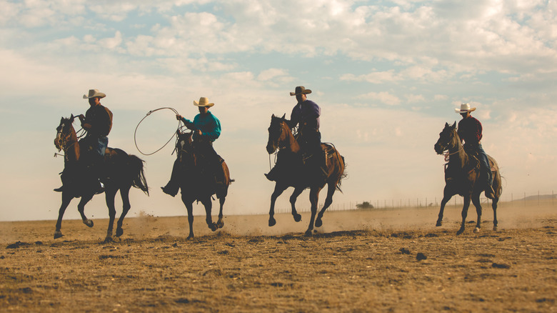 cowboys riding horses on the plain
