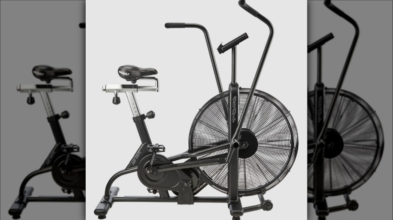 assaultbike classic