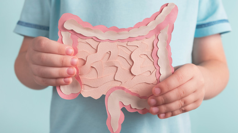person holding cutout image of intestines