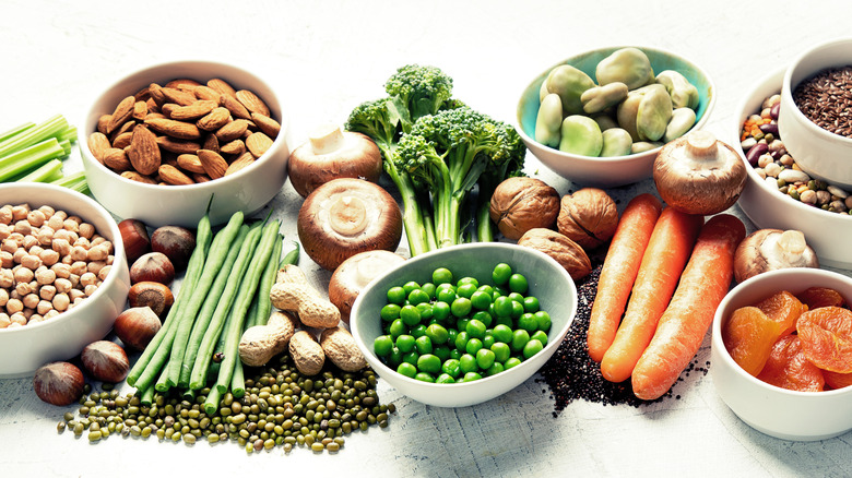 plant based protein display