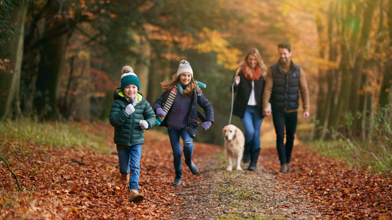 ﻿Family walking with dog