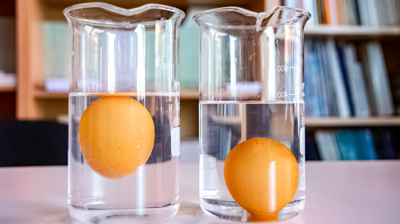 two eggs submerged in water 