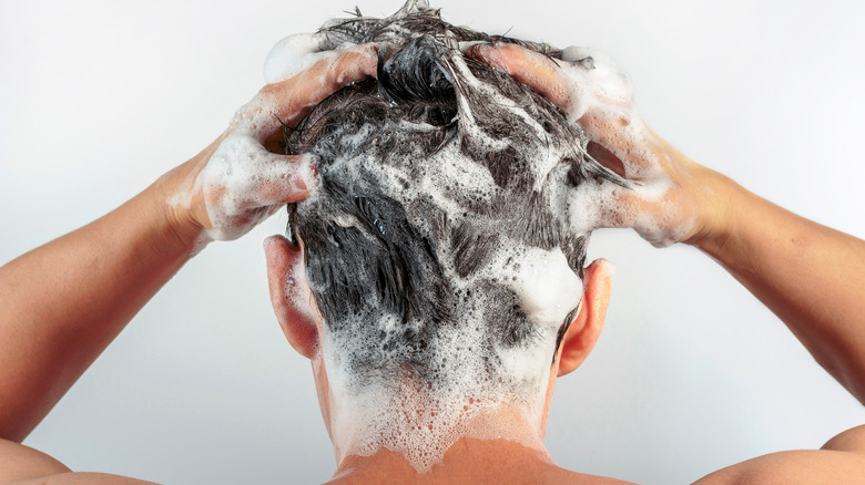 Person lathering the back of their head with shampoo