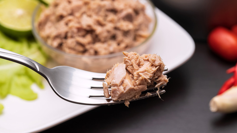 forkful of tuna in front of bowl of tuna