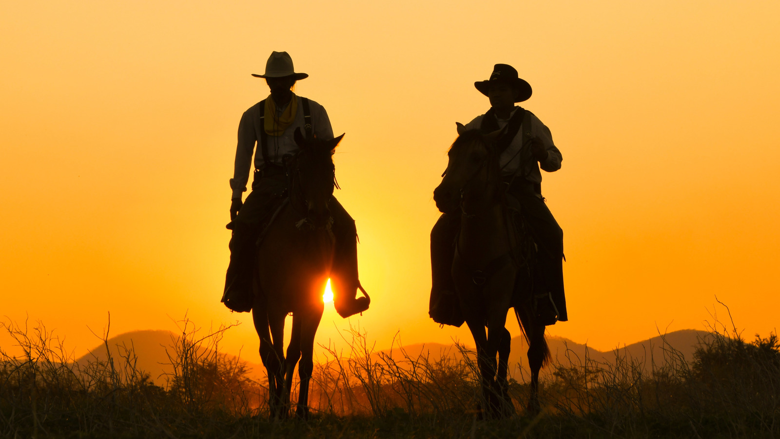 <a href="https://www.healthdigest.com/2219583/every-cowboy-used-this-hygiene-staple-1800s-beef-tallow-comeback/" target="_blank">The Cowboy Hygiene Staple From The 1800s That’s Making A Big Comeback</a>