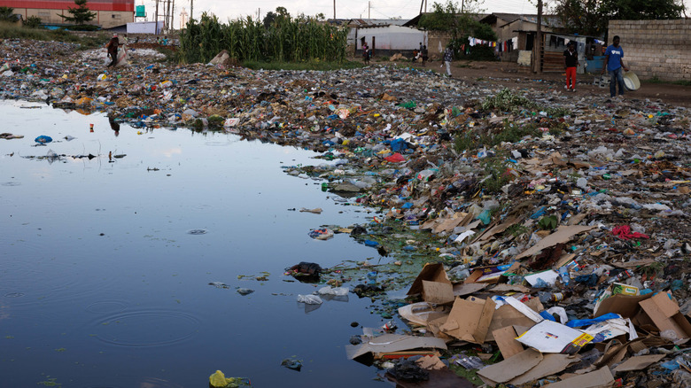 Trash littering a body of contaminated water near a residential community in Lusaka, Zambia