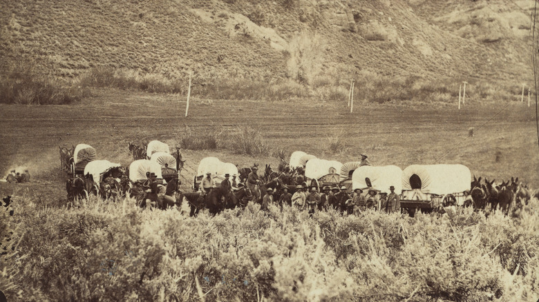 Wagons from Mormon Emigrant Train circling in Echo Canyon