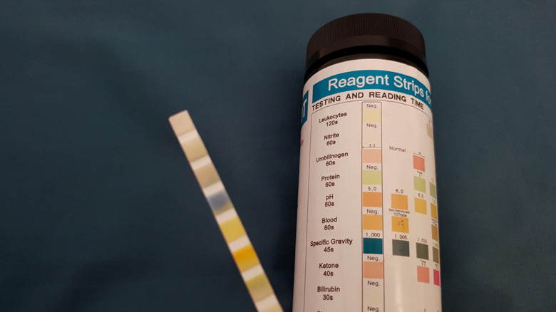 ketone testing sticks