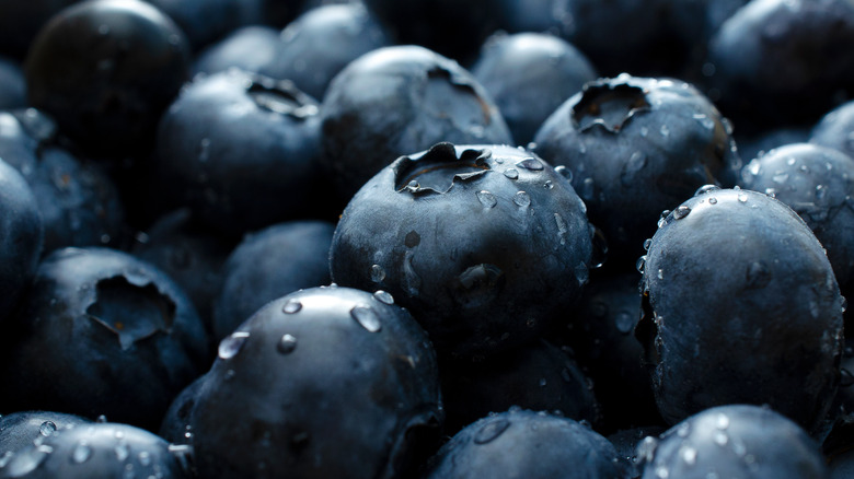 Fresh blueberries