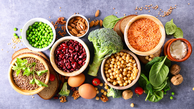 Array of vegetarian protein sources