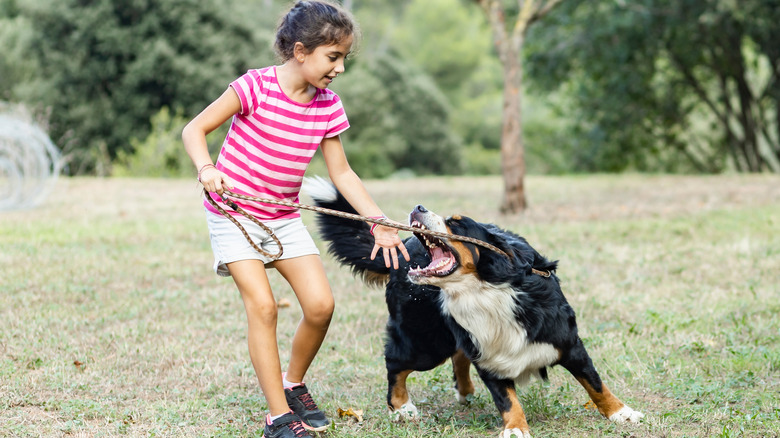 Young girl playing with a dog