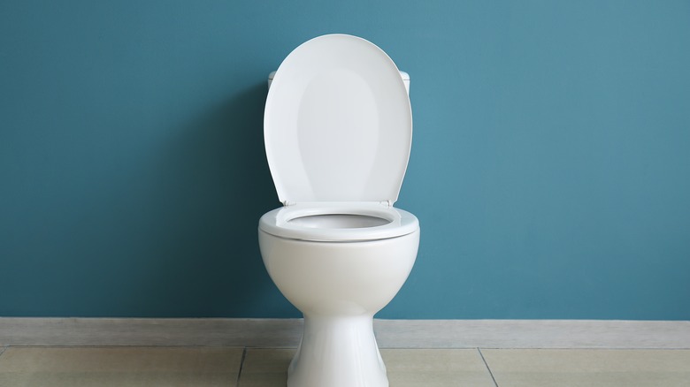 Toilet fixture