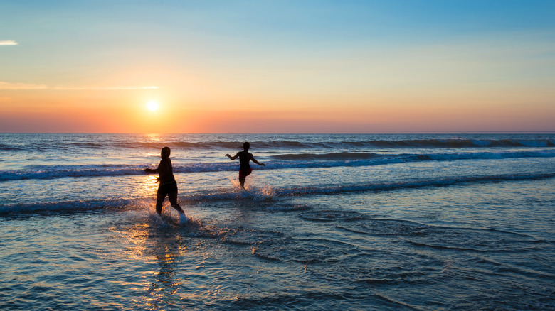 people swimming in waves at beach