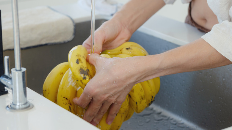 A woman washing a bunch of bananas
