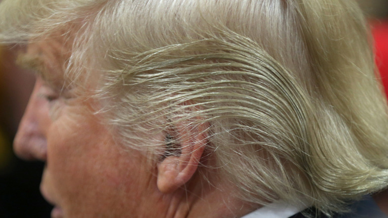 close image of Donald Trump hair