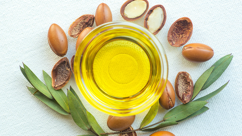 argan oil along with argan tree kernels