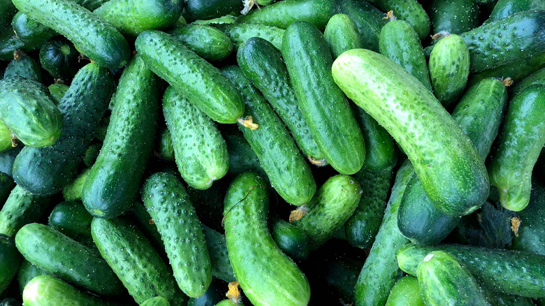 Close up image of pile of green cucumbers