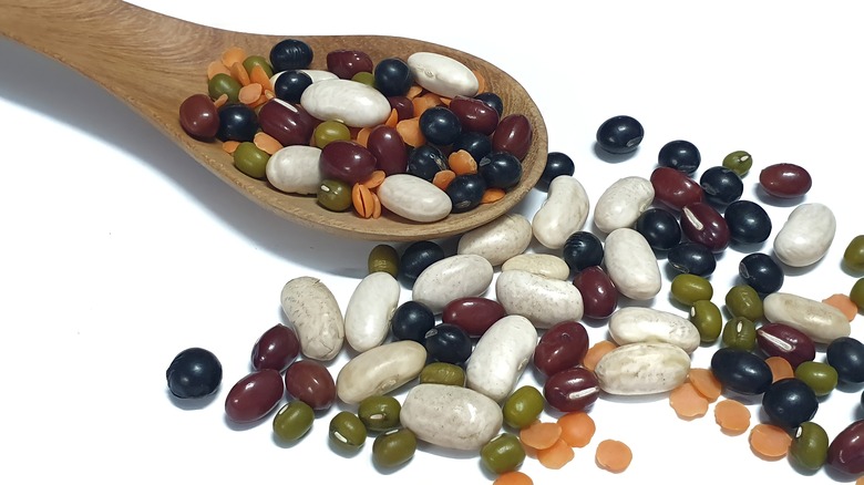 variety of beans and wooden spoon on white background