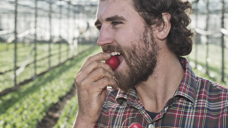 man eating fresh radishes outside in farm setting