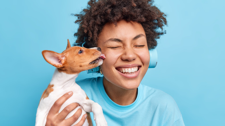 dog kisses woman