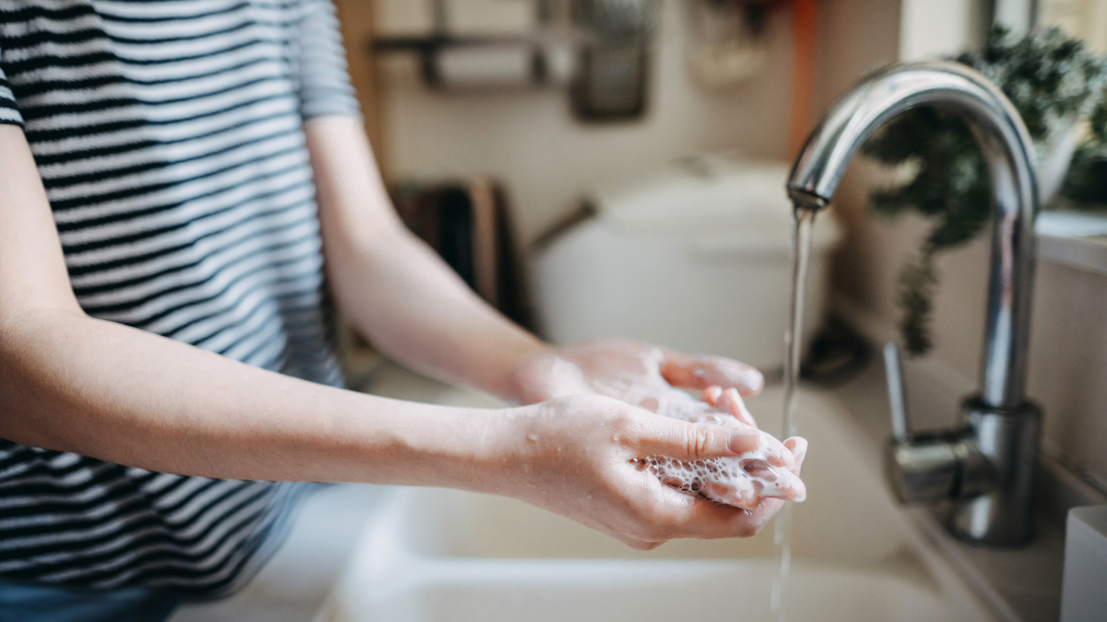 <a href="https://www.healthdigest.com/1964770/largest-hand-soap-recall-recent-us-history/" target="_blank">The Largest Hand Soap Recall Recorded In Recent US History</a>