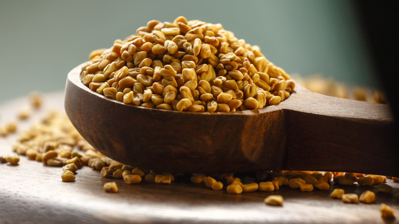 Spoonful of fenugreek seeds