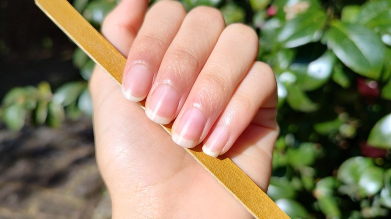 clean and filed nails