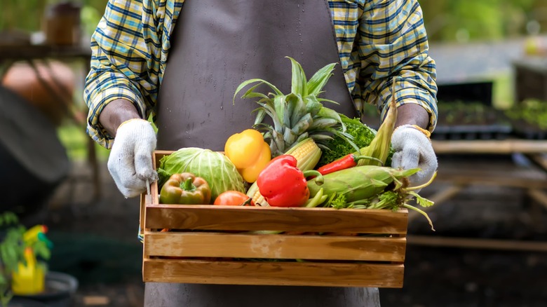 smiling man holding a basket of vegetables