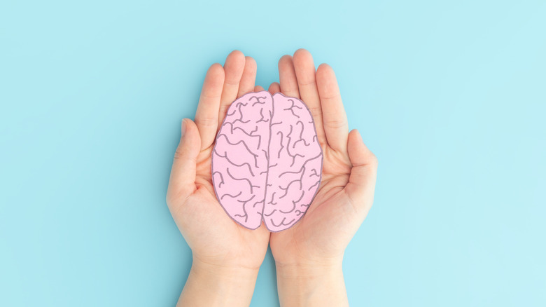 hands holding model of human brain