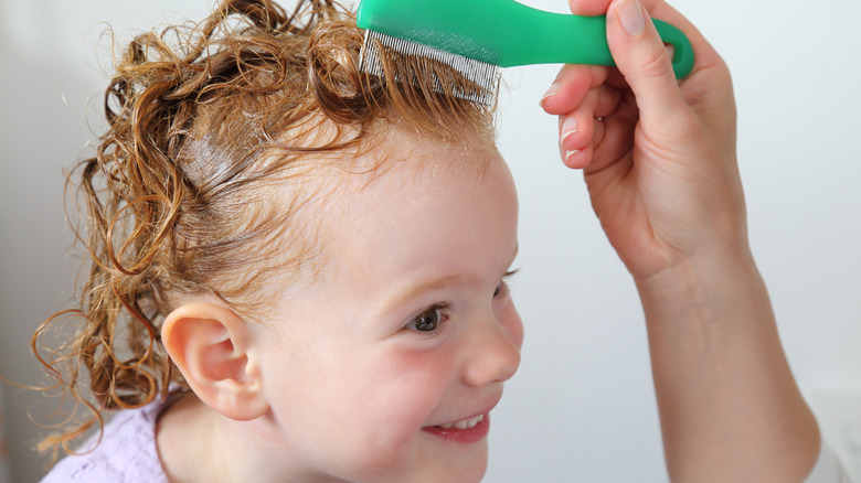 Child with lice comb in hair