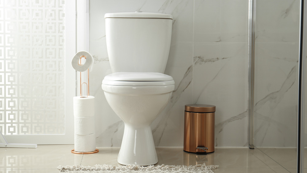 Toilet