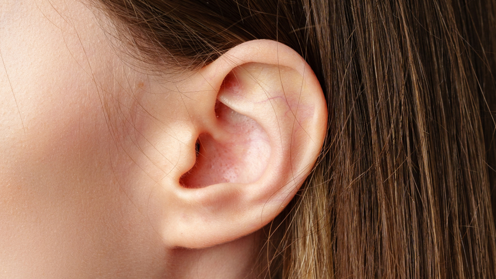 <a href="https://www.healthdigest.com/1896768/human-ear-origins-mystery/" target="_blank">The Origin Of Human Ears Is Still Very Much A Mystery</a>