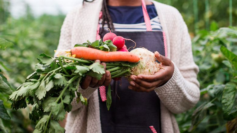 woman carrying horseradish and other vegetables