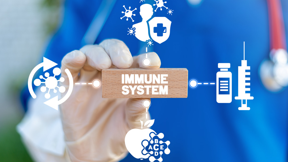 immune system graphic