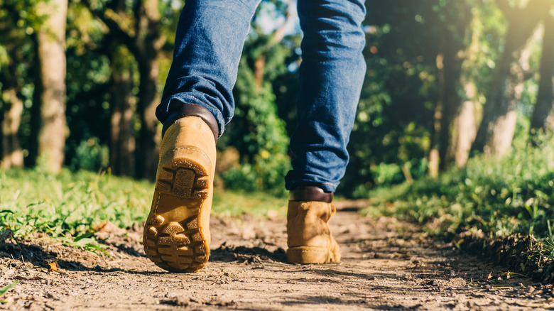 person hiking in the woods