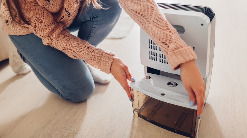 Woman changing dehumidifier reservoir 