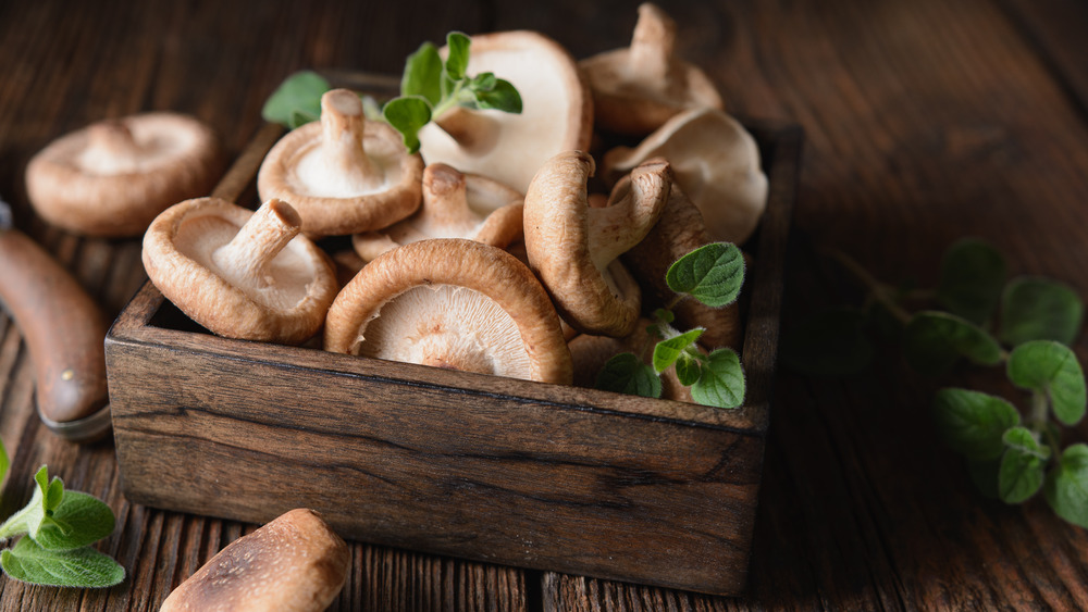 Shiitake mushrooms in a wooden box
