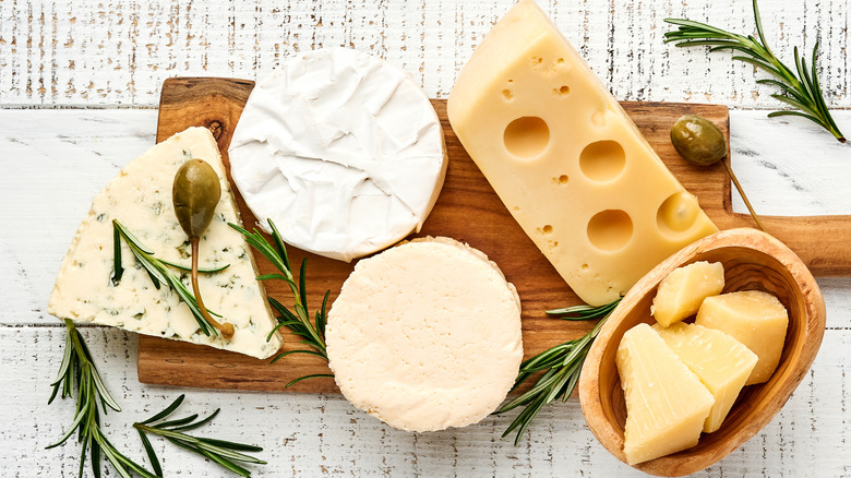 an array of assorted dairy products on table