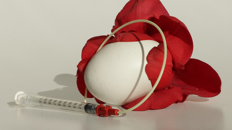Art representing egg donation