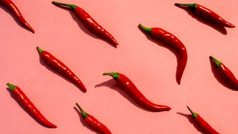 Red chili peppers on pink background