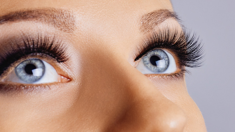 Close-up of a woman's eyes and eyelashes