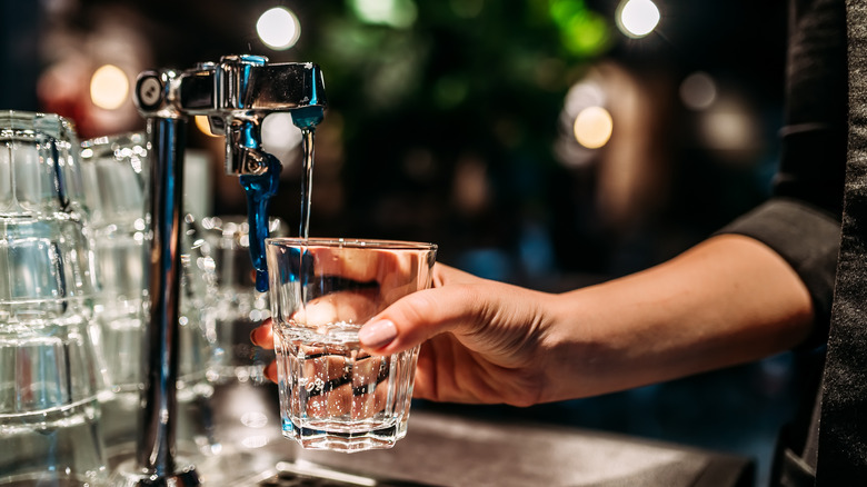 Filling glass with tap water at bar